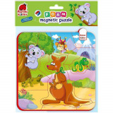 Puzzle magnetic Animale din Australia Roter Kafer RK5010-09