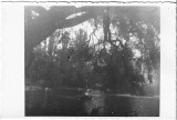 P3048N Bărci pe lac &icirc;n Parcul Cișmigiu, 1936