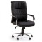Scaun directorial HM Hamilton, Piele ecologica, Inaltime ajustabila, Mecanism balansare, 150 kg, 111x60x51 cm, Negru