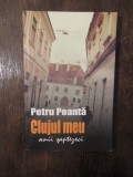 CLUJUL MEU.ANII SAPTEZECI -PETRU POANTA