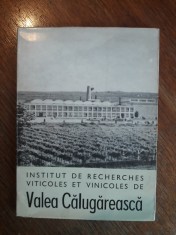 Institutul de cercetari viticole si vinicole Valea Calugareasca / R6P4F