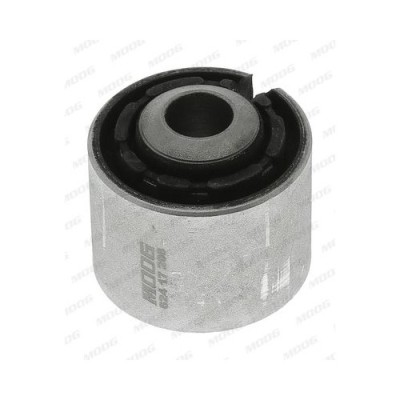 Moog suport, trapez foto