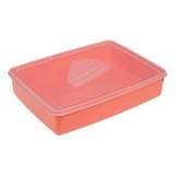 Caserola Alimente Dreptunghiulara 4.2L Plastic, Capac Transparent, Corai, Brand Oem, CMCLASS