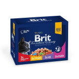Cumpara ieftin Brit Premium Cat plic Family Variety, 12 Plicuri x 100 g