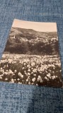 CARTE POSTALA ABRUD NECIRCULATA