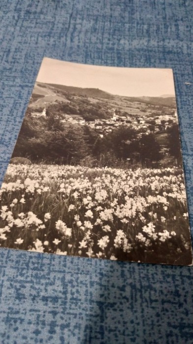 CARTE POSTALA ABRUD NECIRCULATA