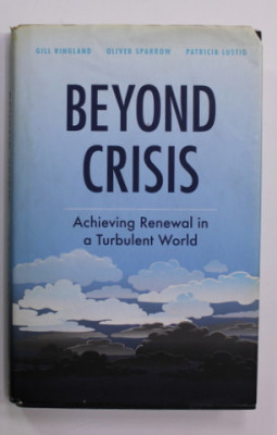 BEYOND CRISIS - ACHIEVING RENEWAL IN A TURBULENT WORLD by GILL RINGLAND ...PATRICIA LUSTIG , 2010 foto