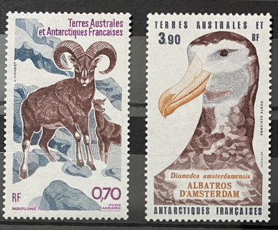 Teritoriul Sudic si Antarctic Francez (TAAF) 1985 Fauna Antarctica, serie MNH foto