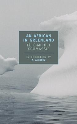 An African in Greenland foto