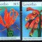 LESOTHO 2000, FLORA, MNH