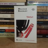 MALCOLM BRADBURY - TAIETURI ( ROMAN ) , 2012 *