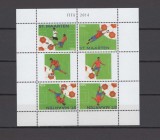 ST MAARTEN 2014 FOTBAL CUPA MONDIALA