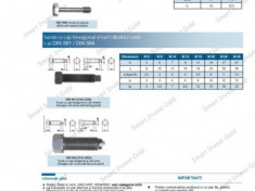 Surub cu cap hexagonal si varf cilindric DIN 561 foto