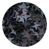 Paiete Holo Star Black