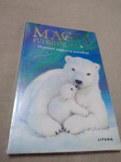 MAGIA FULGILOR DE NEA -10 POVESTI MAGICE CU ANIMALUTE SIGI8LATA foto