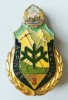 INSIGNA SPECIALIST CLASA VANATORI DE MUNTE CLASA 3 ARMATA MINISTERUL APARARII FARA FISURI SAU SPARTURI ( CITITI DESCRIEREA )