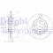 Delphi Disc frana