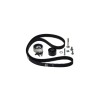 Kit distributie OPEL VECTRA C CONTITECH CT1106K1