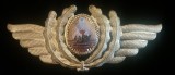 QW14 - Emblema militara / cuc - comunism - Aviatie - varianta mare
