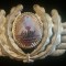 QW14 - Emblema militara / cuc - comunism - Aviatie - varianta mare