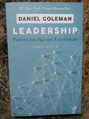 LEADERSHIP, PUTEREA INTELIGENTEI EMOTIONALE de DANIEL GOLEMAN foto