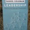 LEADERSHIP, PUTEREA INTELIGENTEI EMOTIONALE de DANIEL GOLEMAN