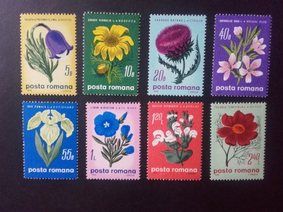 1970 - Flori de stepa - LP719 foto