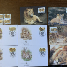 india - feline - lei - serie 4 timbre MNH, 4 FDC, 4 maxime, fauna wwf