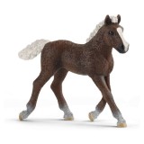 Figurina - Wild Life - Armasar Negru | Schleich