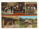 SG10- Carte Postala - Germania, Schwarzwald, Circulata 1975, Fotografie