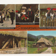 SG10- Carte Postala - Germania, Schwarzwald, Circulata 1975