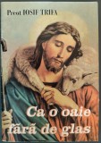 Cumpara ieftin BROSURA: Preot IOSIF TRIFA - CA O OAIE FARA DE GLAS (editia a III-a, SIBIU 2001)