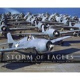 Storm of Eagles