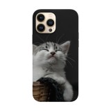 Husa compatibila cu Apple iPhone 14 Pro Max model Smug cat, Silicon, TPU, Viceversa