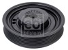 FEBI BILSTEIN 176600 Fulie curea, arbore cotit