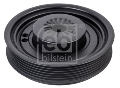 FEBI BILSTEIN 176600 Fulie curea, arbore cotit foto