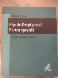 Mihail Udroiu - Fise de Drept penal. Partea speciala. Teorie si cazuri practice
