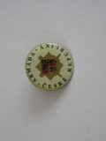 QW9 N 25 - insigna - militar - Armata Republicii Cehia