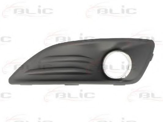 Grila ventilatie, bara protectie FORD FIESTA VI (2008 - 2016) BLIC 6509-01-2565915Q