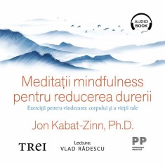 Meditații mindfulness pentru reducerea durerii. Exerciții pentru vindecarea corpului și a vieții tale - Audiobook - Jon Kabat-Zinn