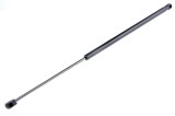 Amortizor portbagaj &amp;quot;, L=631mm, F=440n, Fiat Ulysse; Lancia Pherda, 2002-2010, NTY AE-FT-031