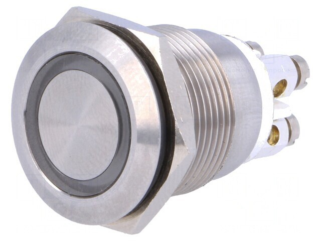 Comutator Anti-Vandalism Alb IP66 24VDC