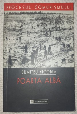DUMITRU NICODIM - POARTA ALBA foto