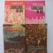 VINTILA CORBUL - CAVALCADA IN IAD [ 2 VOL.]+ CADEREA CONSTANTINOPOLELUI [ 2 VOL]