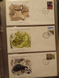 FAUNA WWF - 3 PLICURI PRIMA ZI