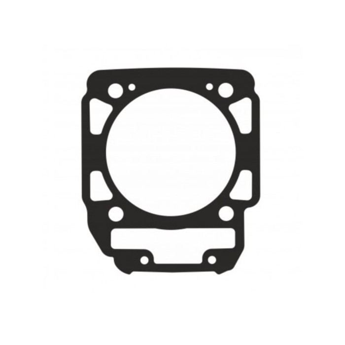 Garnitura cilindru Can-Am BRP