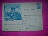 HOPCT 10888 PE CRESTE - CAPRA NEAGRA / RUPICAPRA RUPICAPRA CARPATICA -FAUNA- -NECIRCULATA