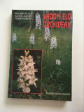 D- Vadon &eacute;lő orchide&aacute;k, Budapest 1995