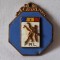FRL - Federatia Romana de lupte, medalie emailata, veche anii 1970 - Republica Socialista Romania