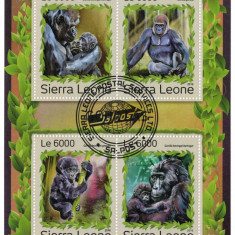 SIERRA LEONE 2016 - Fauna, Gorile/ colita noua